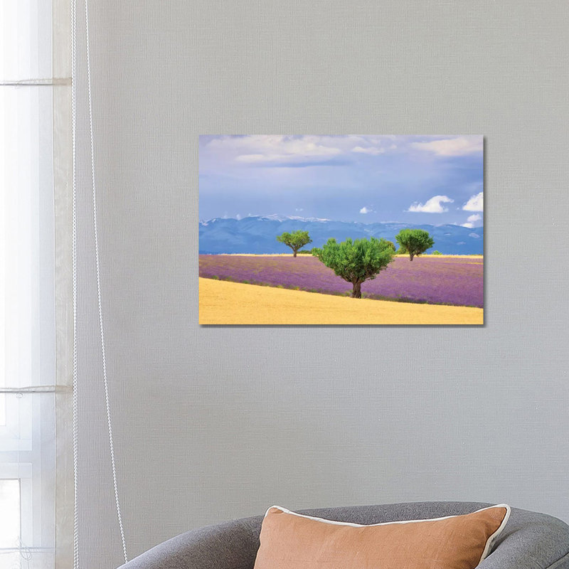 France, Provence, Valensole Plateau. Field Of Lavender And Trees. by Jaynes Gallery - Wrapped Canvas Print