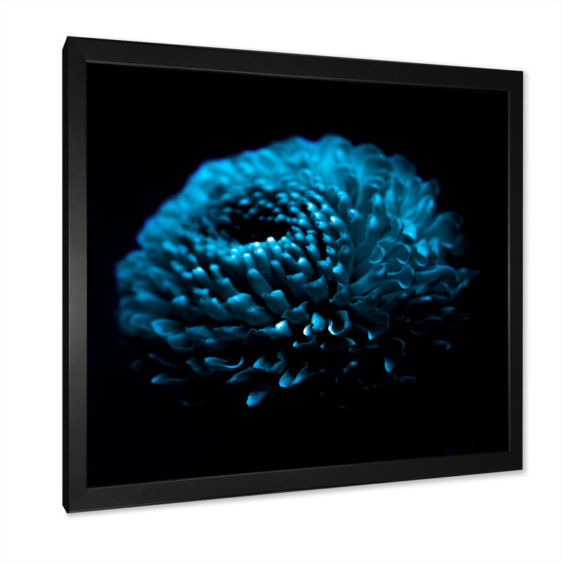 «Fractal Turquoise Flower», reproduction sur toile encadrée, Cadre photo noir, H 16 po x l 16 po x P 1 po