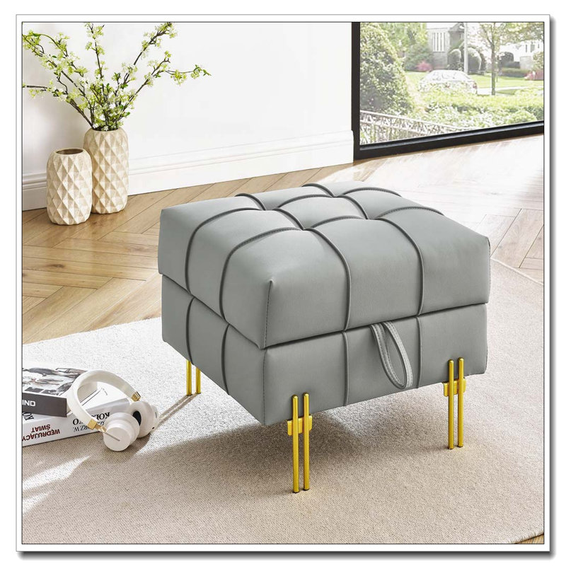 Pet-Friendly Storage Ottoman with Stainless Steel Legs