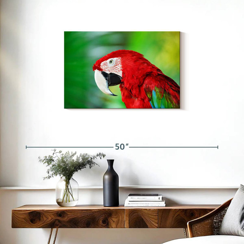 Brampt Jungle Scarlet Macaw, 20" H x 30" W
