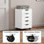 Ristana 5 Drawer Filing Cabinet-55358102