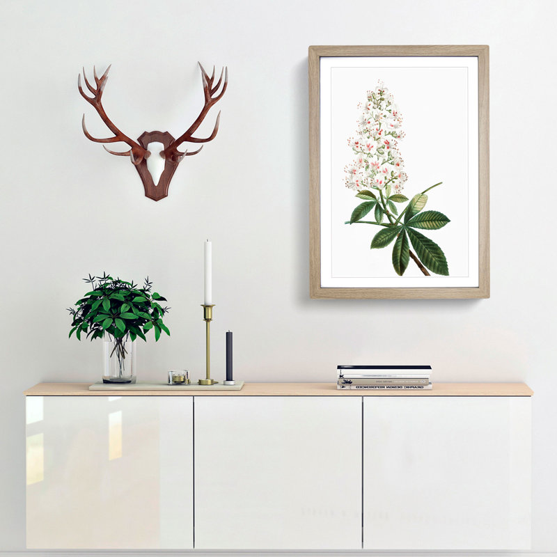 Horse Chestnut Tree Flowers by Pierre-Joseph Redoute - Framed Print, 48cm H x 36cm W x 2cm D, Oak Framed