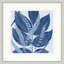 Layered Indigo Foliage 5 Print