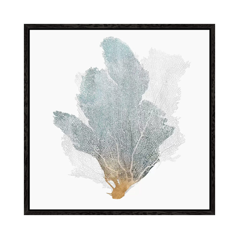 Delicate Coral II by Isabelle Z - Print on Canvas, 93.98 cm H x 93.98 cm W, Black Framed