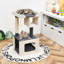 Lyell 80cm H Cat Tree