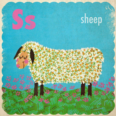'Sheep' Print on Wrapped Canvas