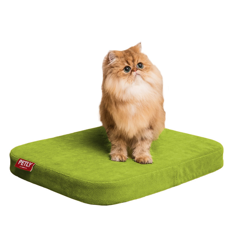 Orthopedic Memory Foam Pet Bed, Medium (80cm W x 60cm D), Green