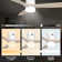 Amoni 52'' Ceiling Fan with LED Lights
