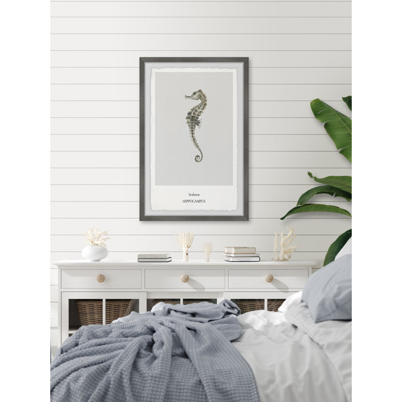 The Hippocampus - Single Picture Frame Print, 30cm H x 20cm W x 3.81cm D