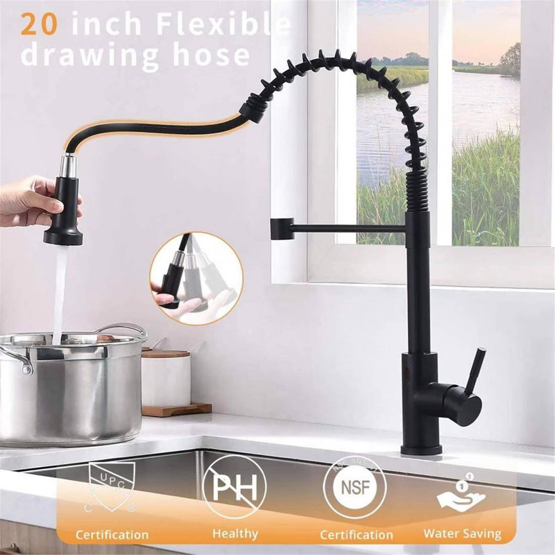 Robinet de cuisine Touchless, Noir mat