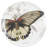 SPECIMEN COASTERS S/4