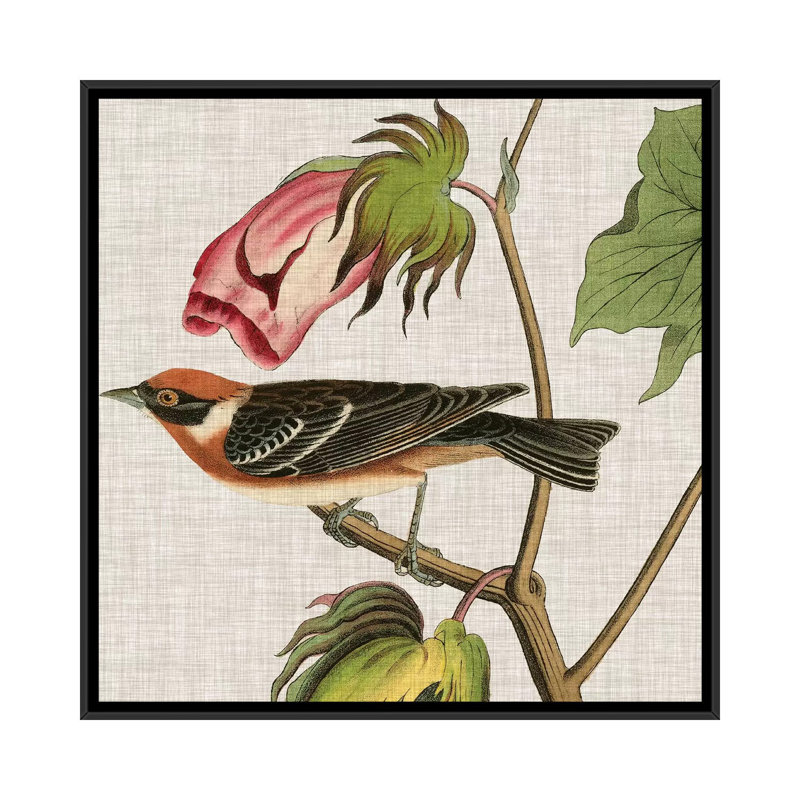 « aviaire crop vi », reproduction d’impression sur toile, H 18 po x l 18 po x P 1,5 po, Toile avec cadre noir, Pas de tapis