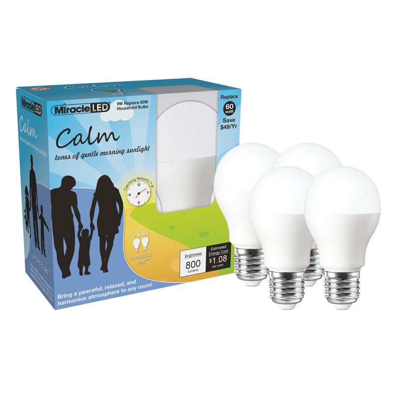 60 Watt Equivalent E26/Medium (Standard) LED Light Bulb