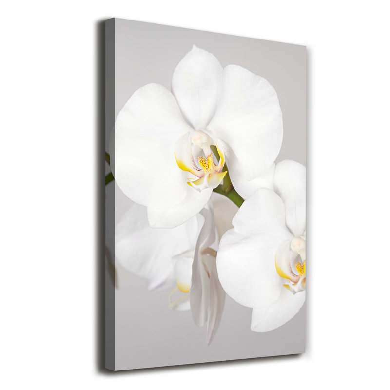 White Orchid - Wrapped Canvas Print