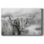 Roaming Isle of Skye Premium Gallery Wrapped Canvas - Ready to Hang-1750358855