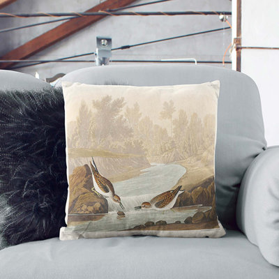 Little Sandpiper Birds by John James Audubon Cushion with Filling