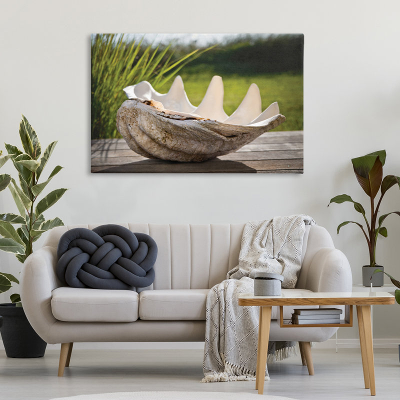 Toile de coquillage Sea Treasure, design par Seven Trees Design, H 30 po x l 45 po