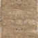 Evanoff Taupe Area Rug