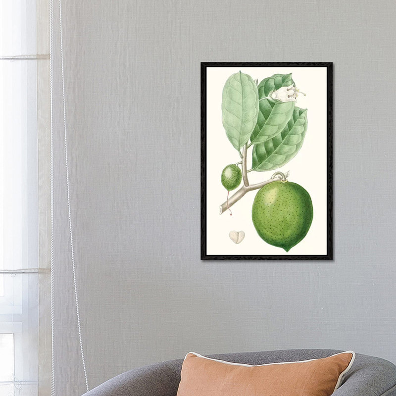 Fruit III 1 Piece Wall Art on Canvas, 66.04 cm H x 45.72 cm W, Black Framed