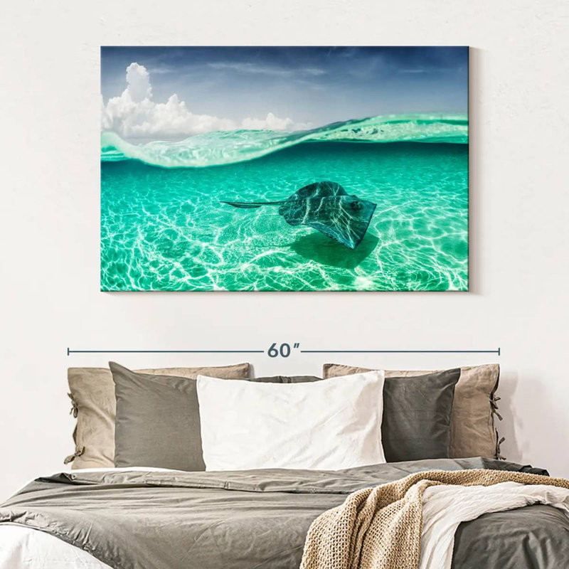 Brampt Manta Ray Underwater, 34" H x 51" W