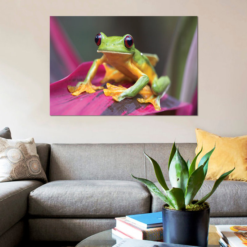« leaf leaf grenouille, costa rica », reproduction d’impression sur toile, H 12 po x l 18 po x P 1,5 po, Toile tendue