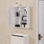Bathroom Cabinet