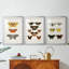Papillons rétro IV - impression encadrée de qualité supérieure sur mesure mat - 3 pièces-825641739-825641738