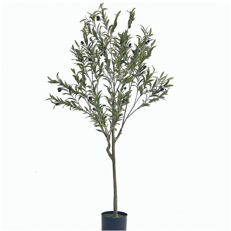 ARBRE D'OLIVE ARTIFIQUE 150CM 150CM, H 59 po x l 23 po