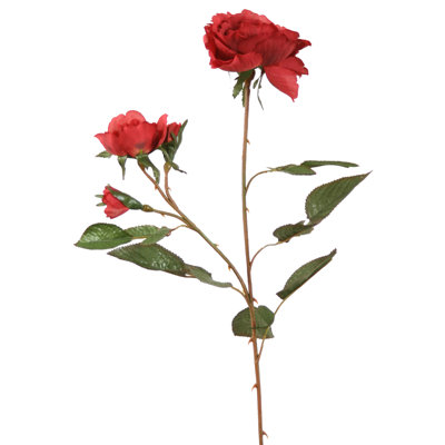 Rose de cerise noun