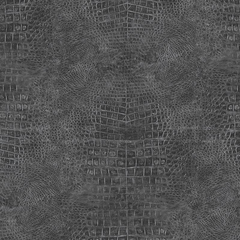 Rouleau de papier peint L 32,7 pi x l 20,5 po , Noir