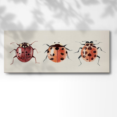 " Ladybug Display I "