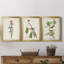 Pl. 15 parulines à dos jaune - ensemble de 3 impressions sur toile encadrées-1948435388-1948435389