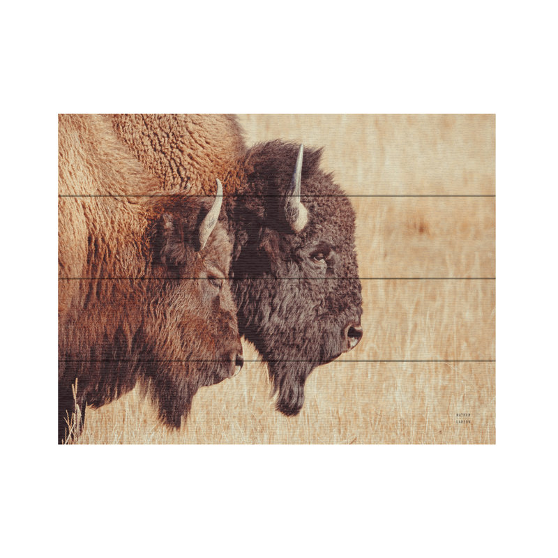 Nathan Larson Bison Pair Wood Slat Art, H 12 po x l 16 po