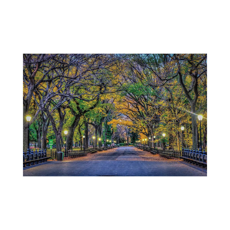 Central Park Night by David Gardiner - Print on Canvas, 101.6 cm H x 66.04 cm W x 1.91 cm D, Wrapped Canvas