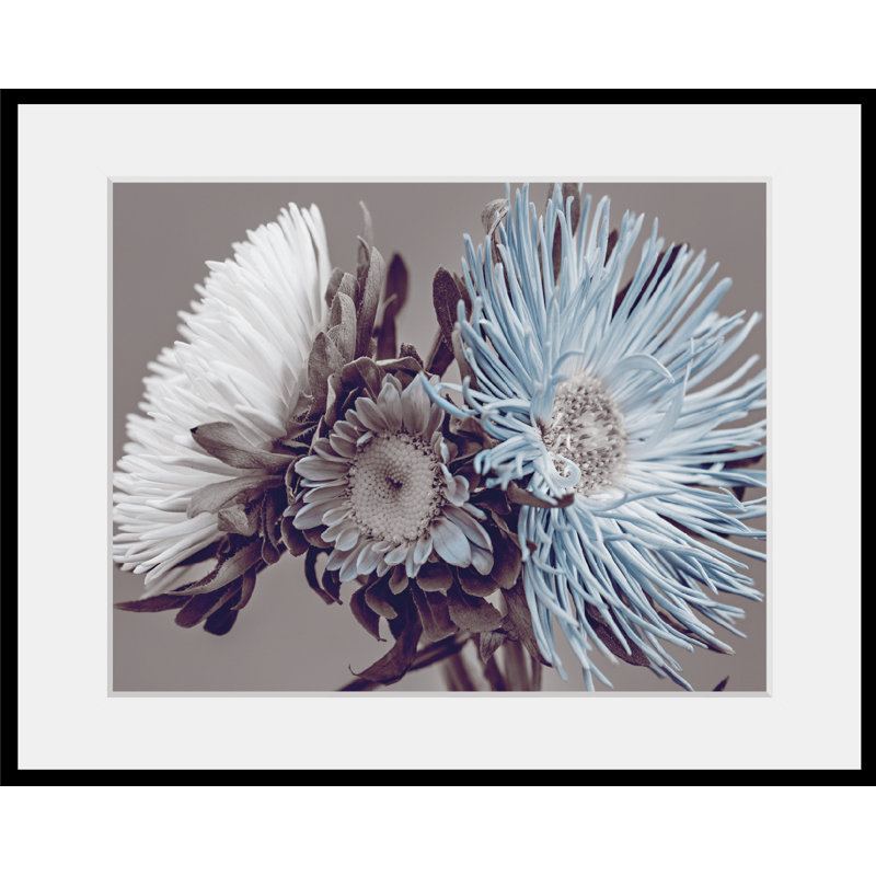 Rose - Single Picture Frame Print, 50 cm H x 40 cm W