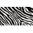 Furnish My Place Jurado  Zebra Print Kids Area Rug – Black & White Zebra Print with Hot Pink Border, Machine-Made  Accent for Playroom, Bathroom & Classroom Nylon Rug for Playroom, Bathroom & Classroom – Machine-Made, Easy-Care Design-831286373