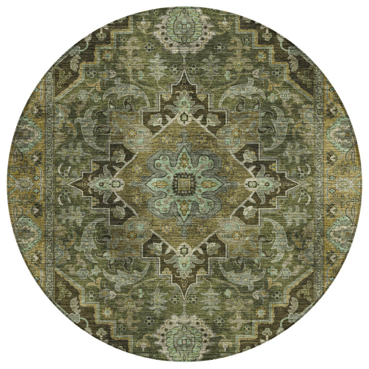 Machine Washable Indoor/Outdoor Arline ACN2165 Global Rug