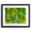 Tropical Jungle by Mark Paulda-71202726-132510949
