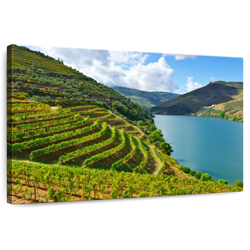 Douro, vallée de la vigne, H 30 po x l 45 po