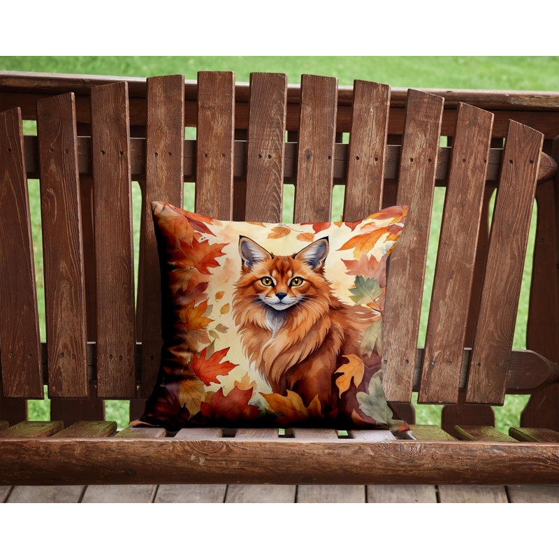 Coussin Somali, Carré 14 po