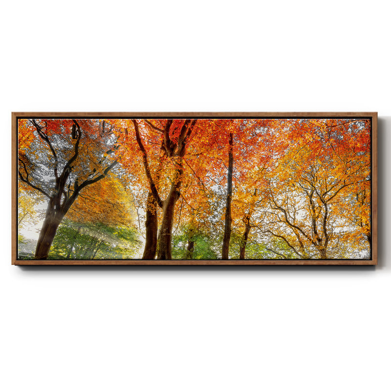 Prisme de lumière, reproduction sur toile, Noyer, H 20 po x l 50 po x P 1,5 po