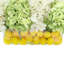 Hydrangeas Arranged in Oval Vase with Lemons