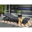 Cosmopolitan Lounger