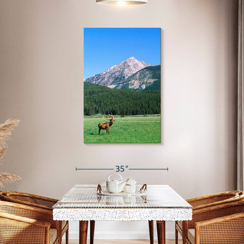 Brampt Coyote Valley Elk, 45" H x 30" W