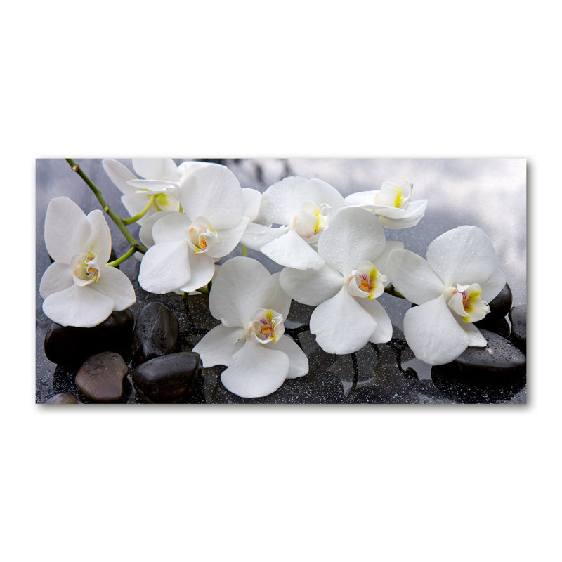 Orchid - Wrapped Canvas Print