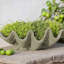 Handmade Planter-13913325