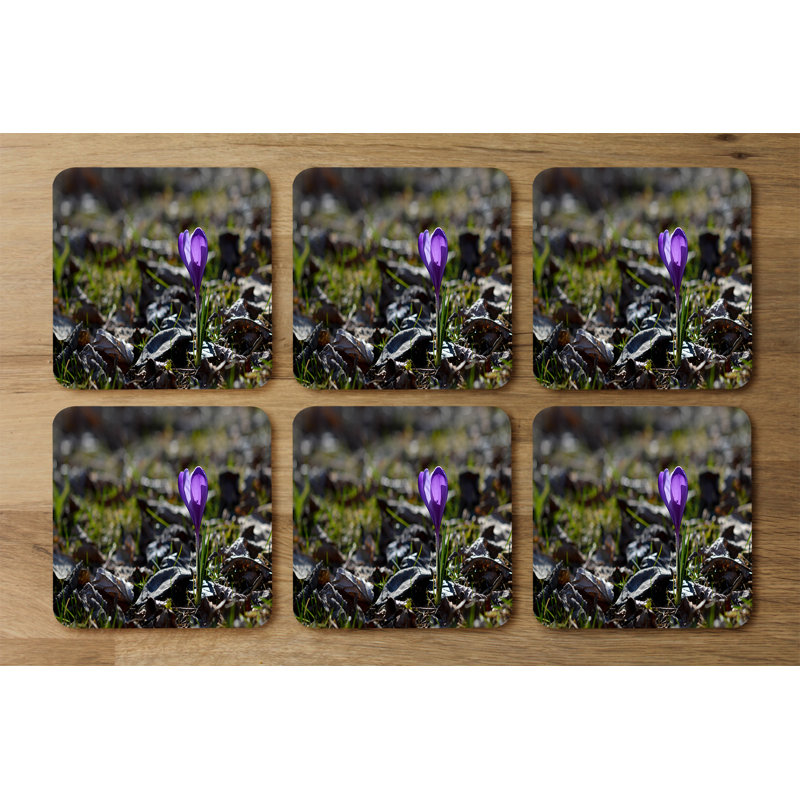 Square 6 Piece Coaster Set