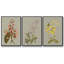 Botanical Array II, ensemble de 3 toiles encadrées sur toile-97760355-97760352