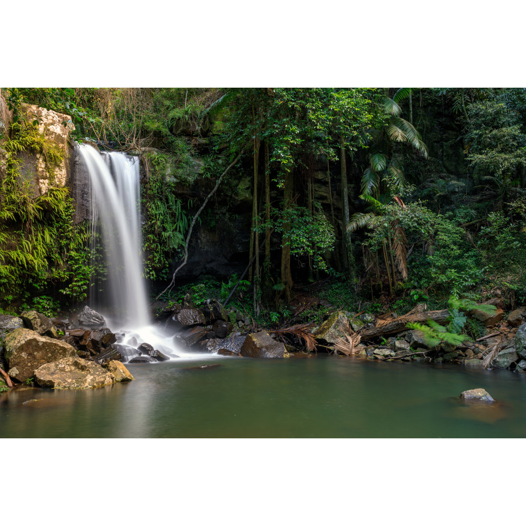 Curtis Falls - Tropischer Regenwald Wasserfall Australien von Thurtell - Druck