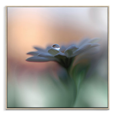 1 Piece Wall Art on Canvas